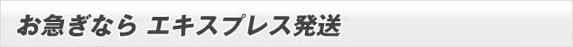 お急ぎなら エキスプレス発送