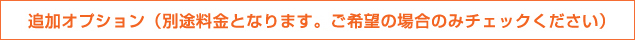 追加オプション（別途料金となります。ご希望の場合のみチェックください）
